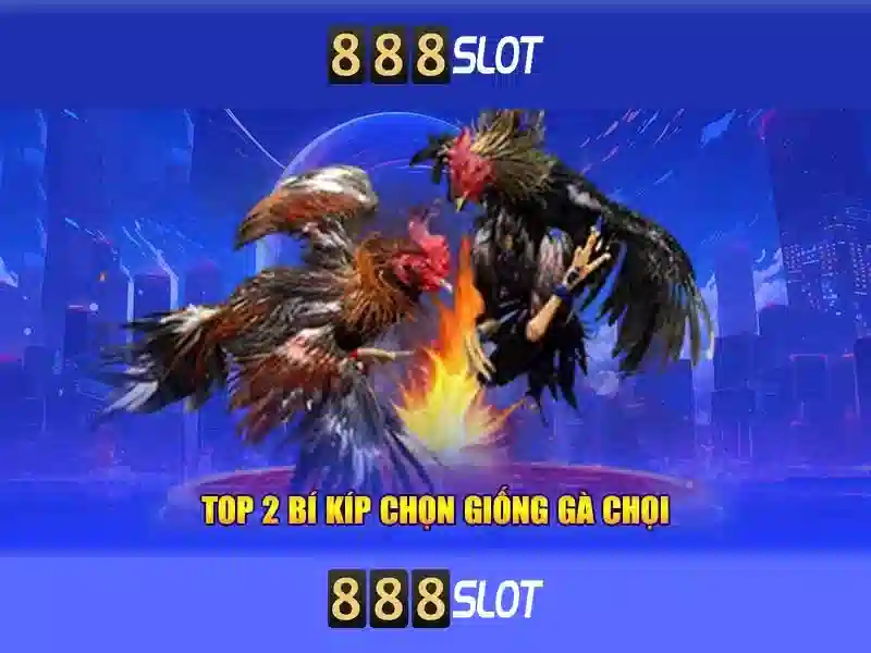 888Slot là gì?\n