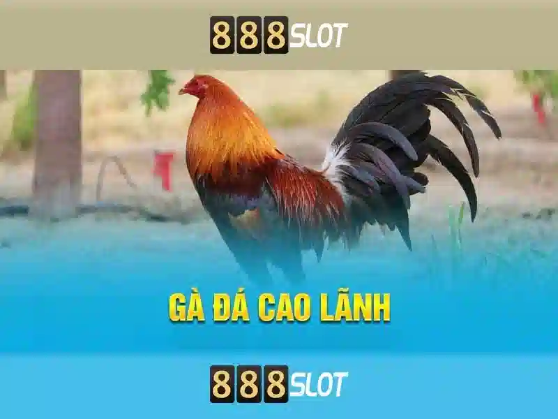 Nguồn gốc từ khóa và sứ mệnh