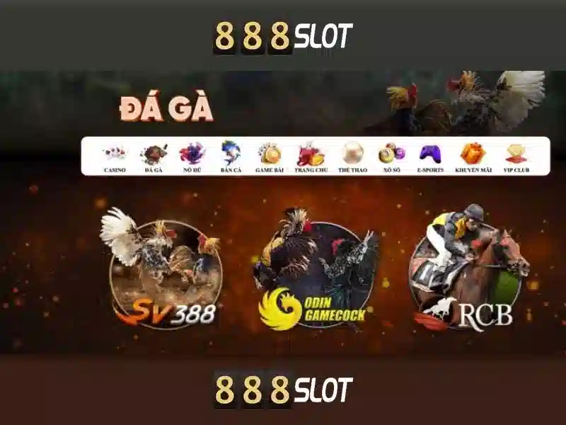 Tại sao nên chọn 888slot