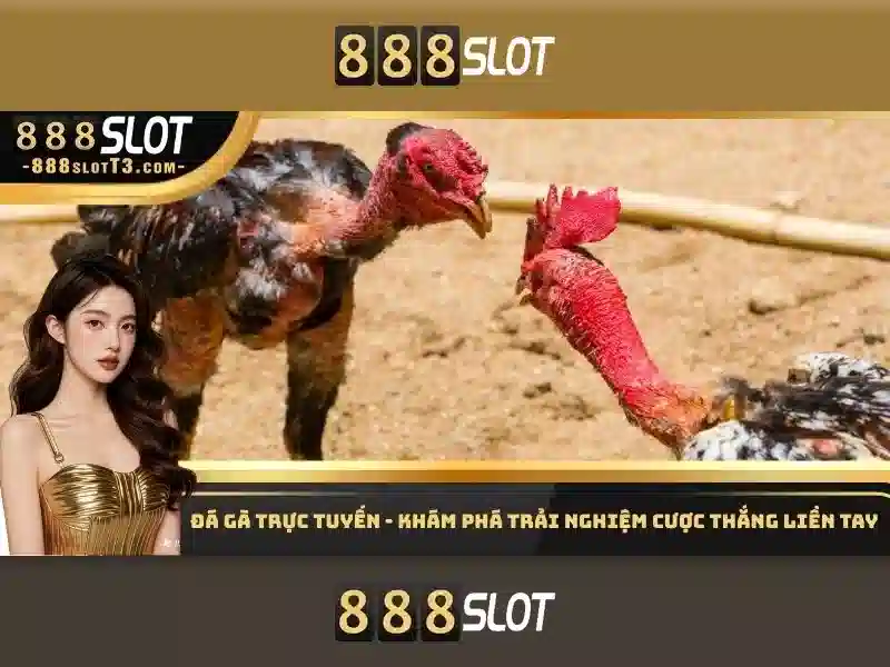 Chính sách thưởng và khuyến mãi