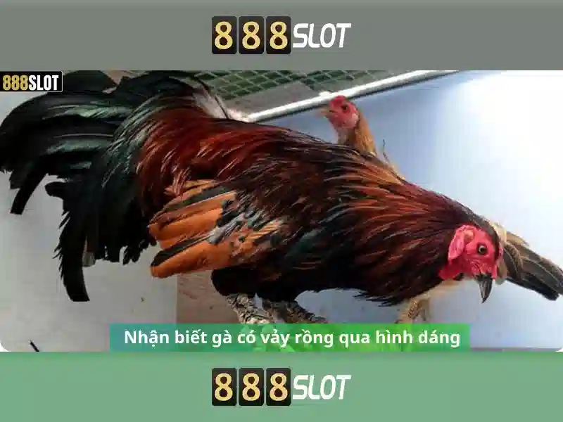 Việt Vị Trong Bóng Đá