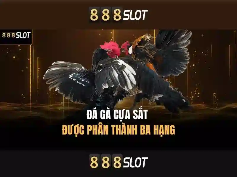 Việt Vị Trong Bóng Đá