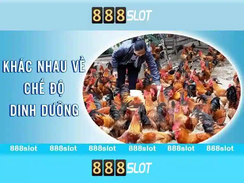 Bull Bull trực tuyến