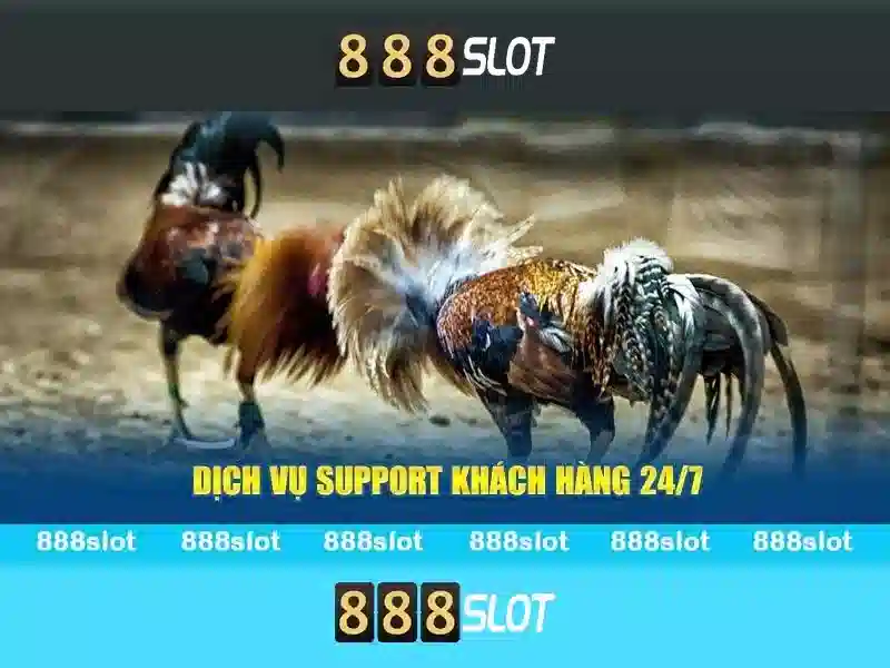 Trò chơi và slots phong phú