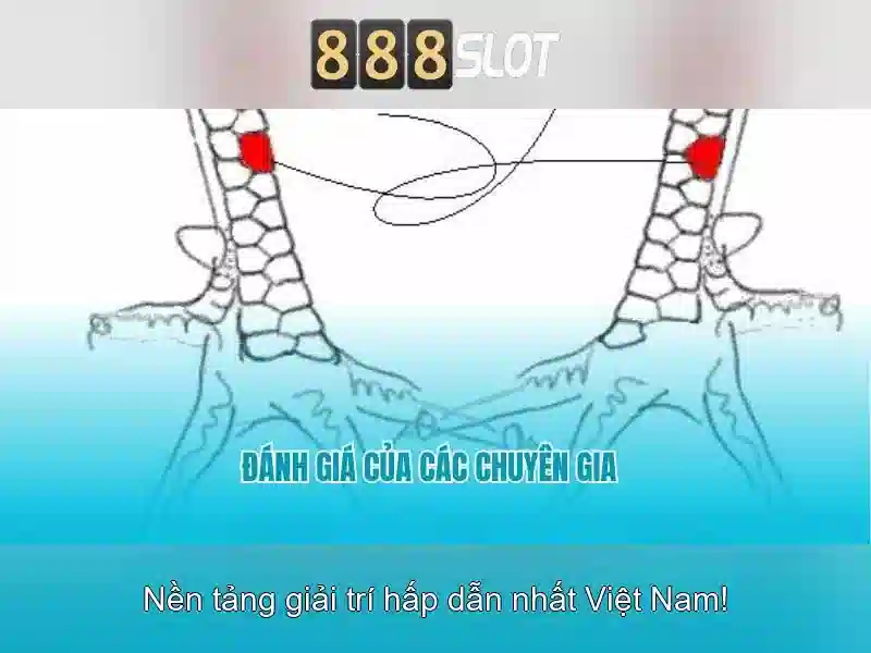 Ưu đãi và chương trình thưởng