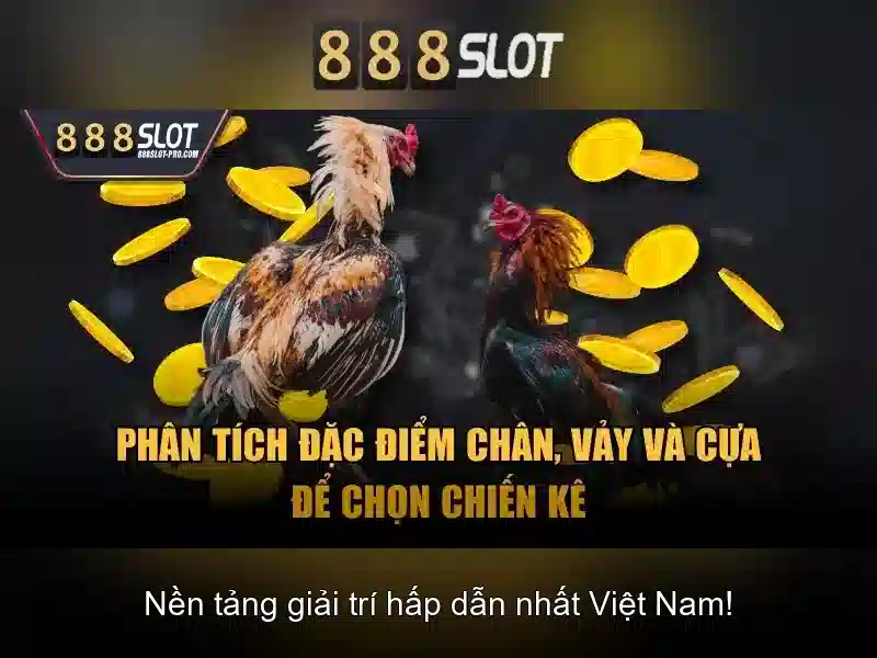 Khuyến mãi và thưởng\n\n