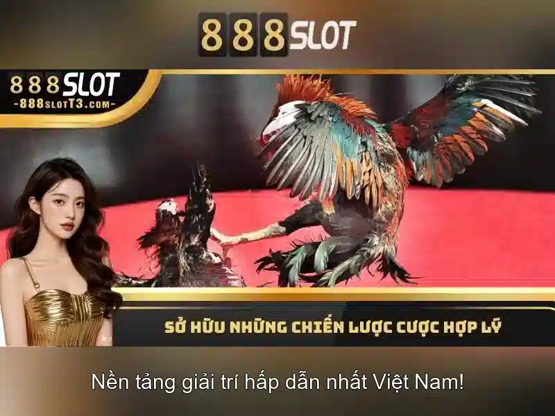 Khuyến mãi và chương trình thành viên