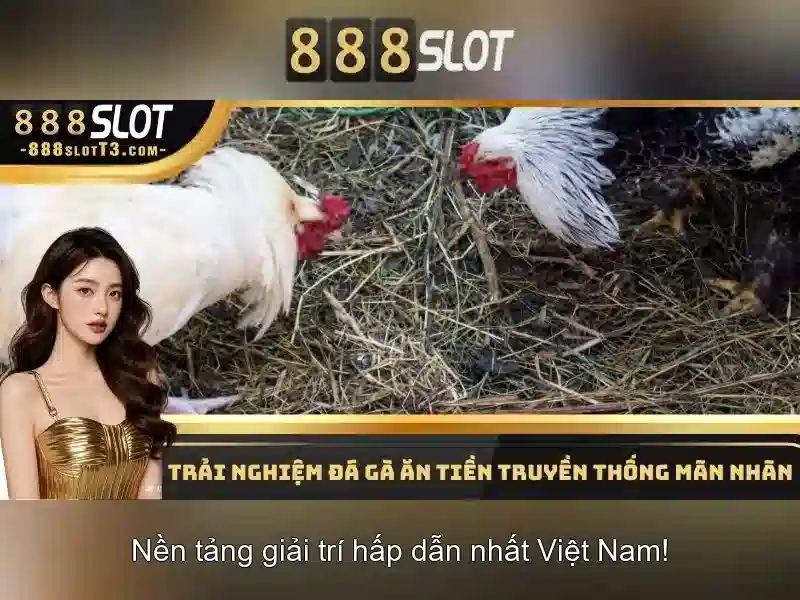 Hỗ trợ khách hàng và cách tham gia