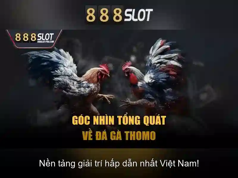 Đặc điểm nổi bật của nền tảng