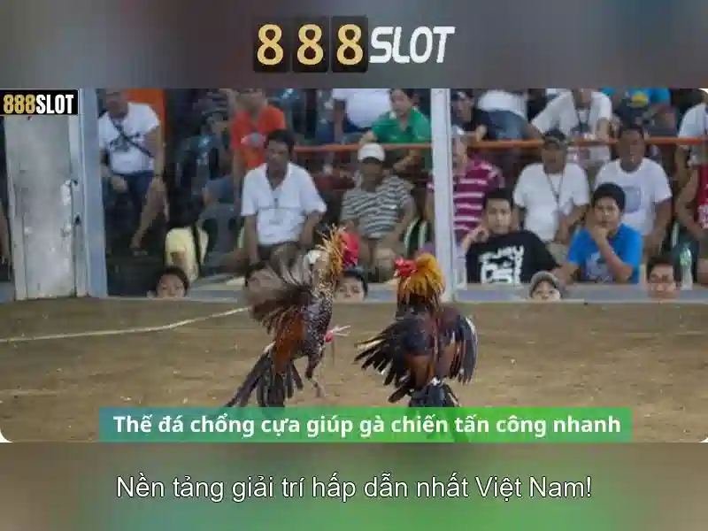Việt Vị Trong Bóng Đá