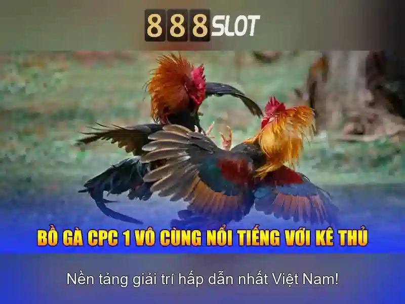 Giới thiệu về 888slot