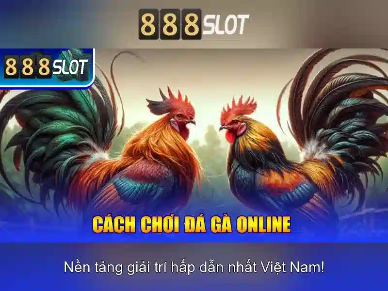 Giao diện người dùng và trải nghiệm