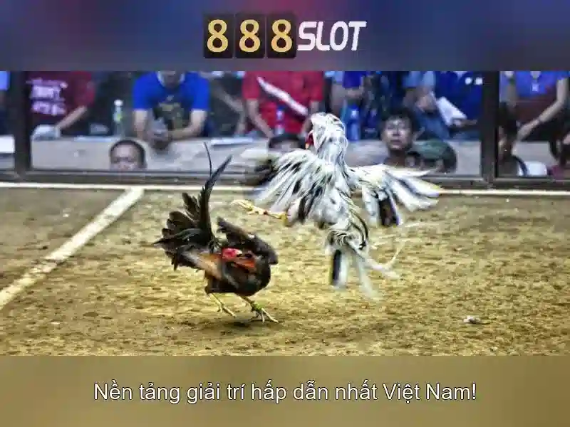 Việt Vị Trong Bóng Đá
