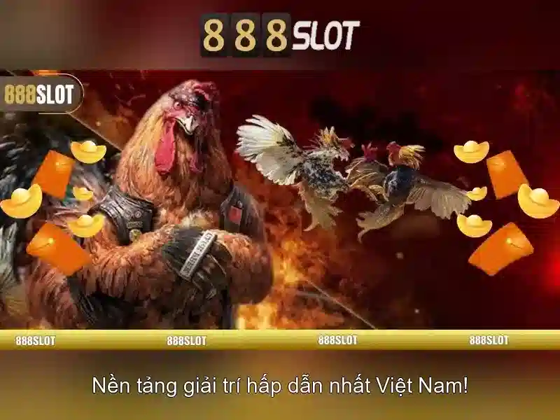 Trải nghiệm người dùng và phản hồi cộng đồng