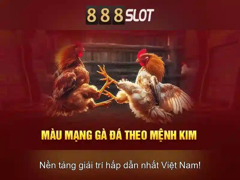 An toàn và thanh toán