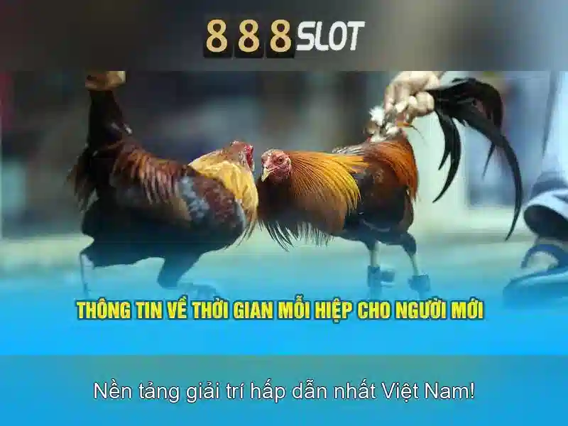 Giới thiệu về 888slot