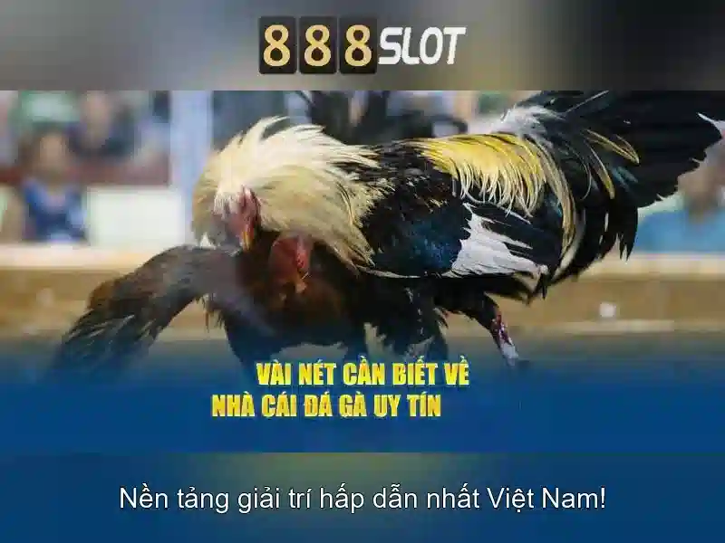 Kinh nghiệm chơi có trách nhiệm