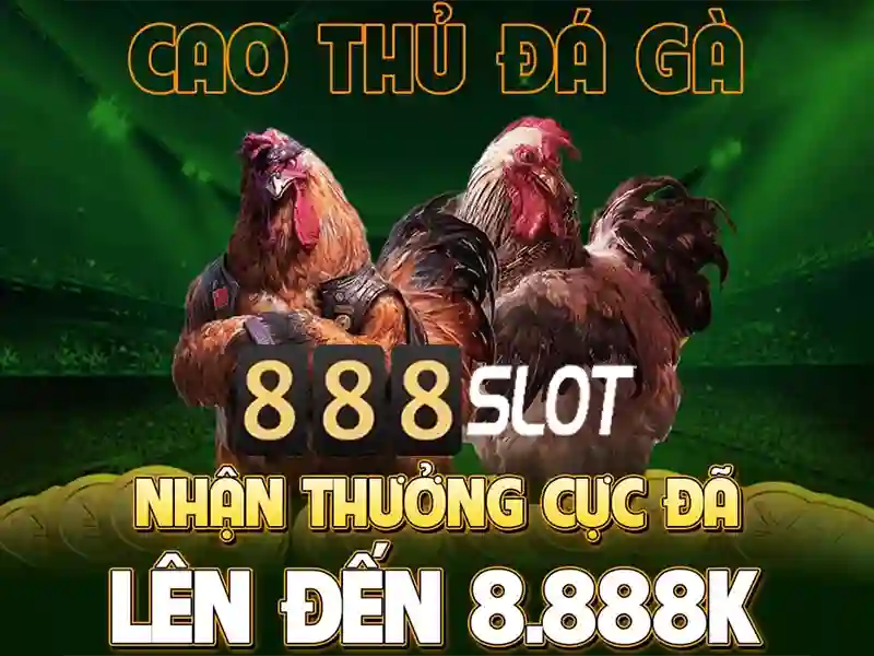 Khuyến mãi và chương trình thưởng